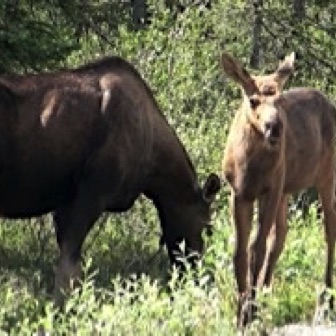 Screen Shot 2016-07-14 at 9.17.03 PM.jpg